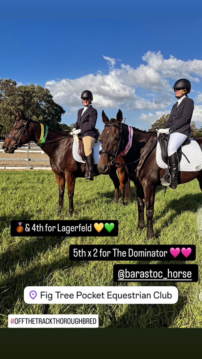 This A Team did a stellar job yesterday 🙌🏻. First dressage show for all 4 of them. Lagerfeld &amp; Dee Dee taking home a 3rd &amp; 4th and The Dominator with Jemma placing two 5ths. What a day 🫶🏻🩷 #offthetrack