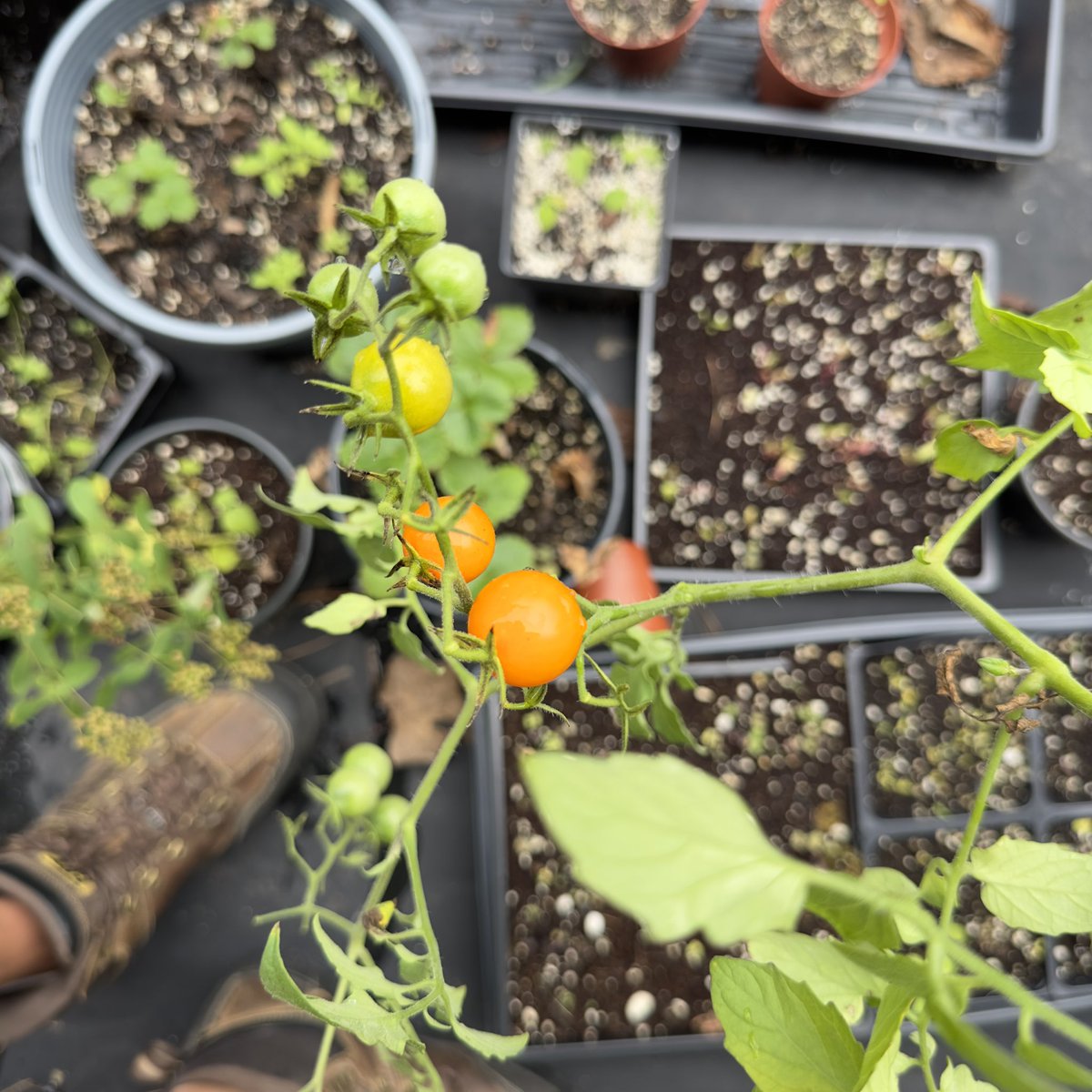 lewisginter's tweet photo. Spring into learning! Registration is now open for our Spring/Summer 2025 classes running April through August! Visit https://t.co/l1inDQpNZr to browse our course catalog and register. ๐ฆ๐ชด
These classes fill up fast! ๐ง๐ผโโ๏ธ๐จ#rva #henrico #visitva https://t.co/RCrxubIbzS