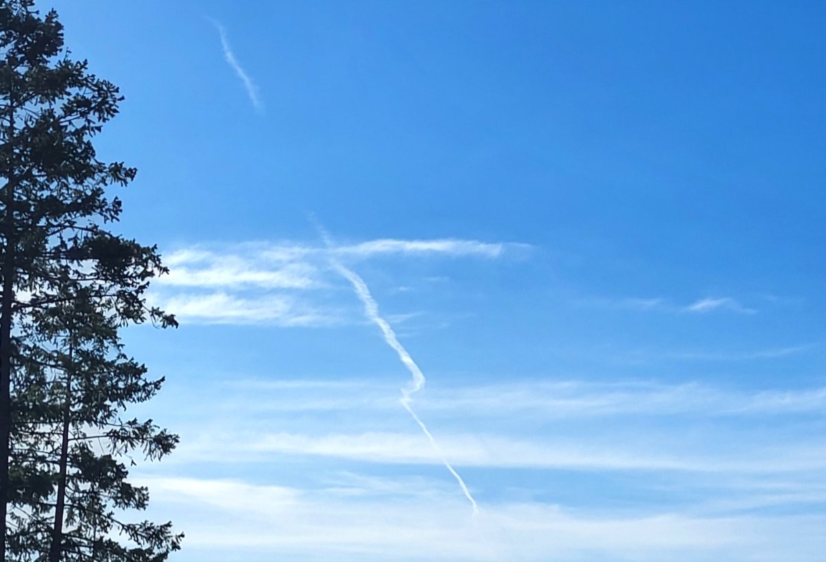 RxGF's tweet image. 30 mins later an **undocumented** cargo jet between 30k and 40k feet criss-crosses the #chemtrails  of the Turkish Airlines Flight TK79 from Istanbul &amp;gt; JFK &amp;gt; SFO, leaving another trail of filth. This could be an activation agent.

Net result here is bad for humanity.