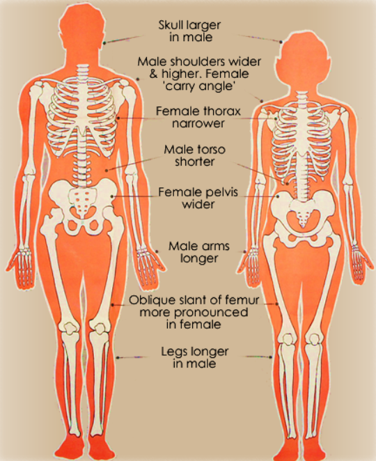 cellsvfx tweet media