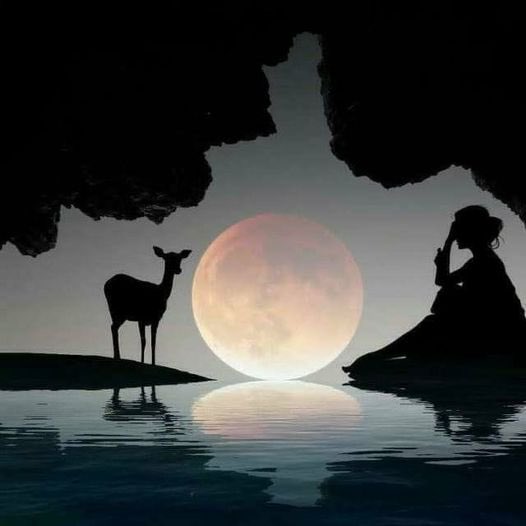 كُنت حرّةً   .. إلى أن رأيتك ..🧡📷 ،