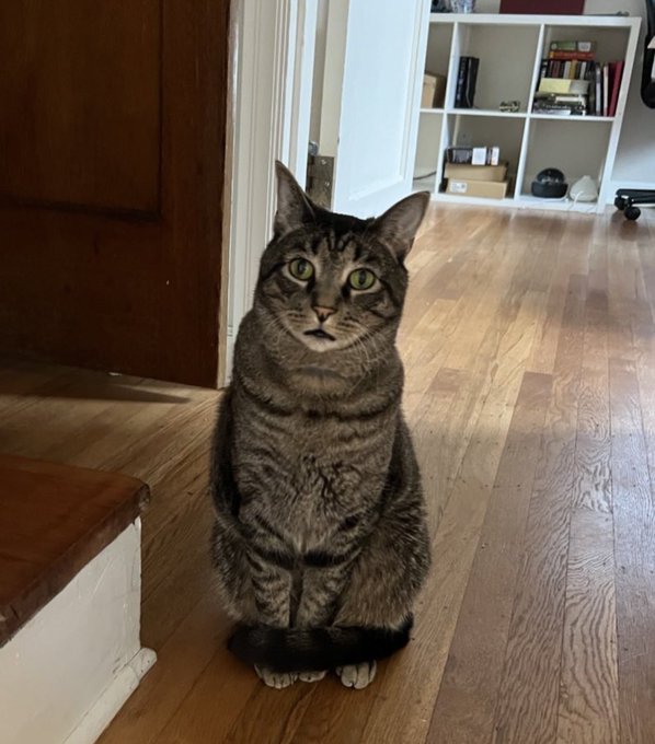 Watch Moo Baby!! 🐞🌳💫's leaked NSFW photo on TwXstars