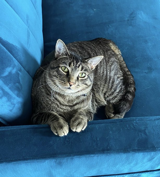 Watch Moo Baby!! 🐞🌳💫's leaked NSFW photo on TwXstars