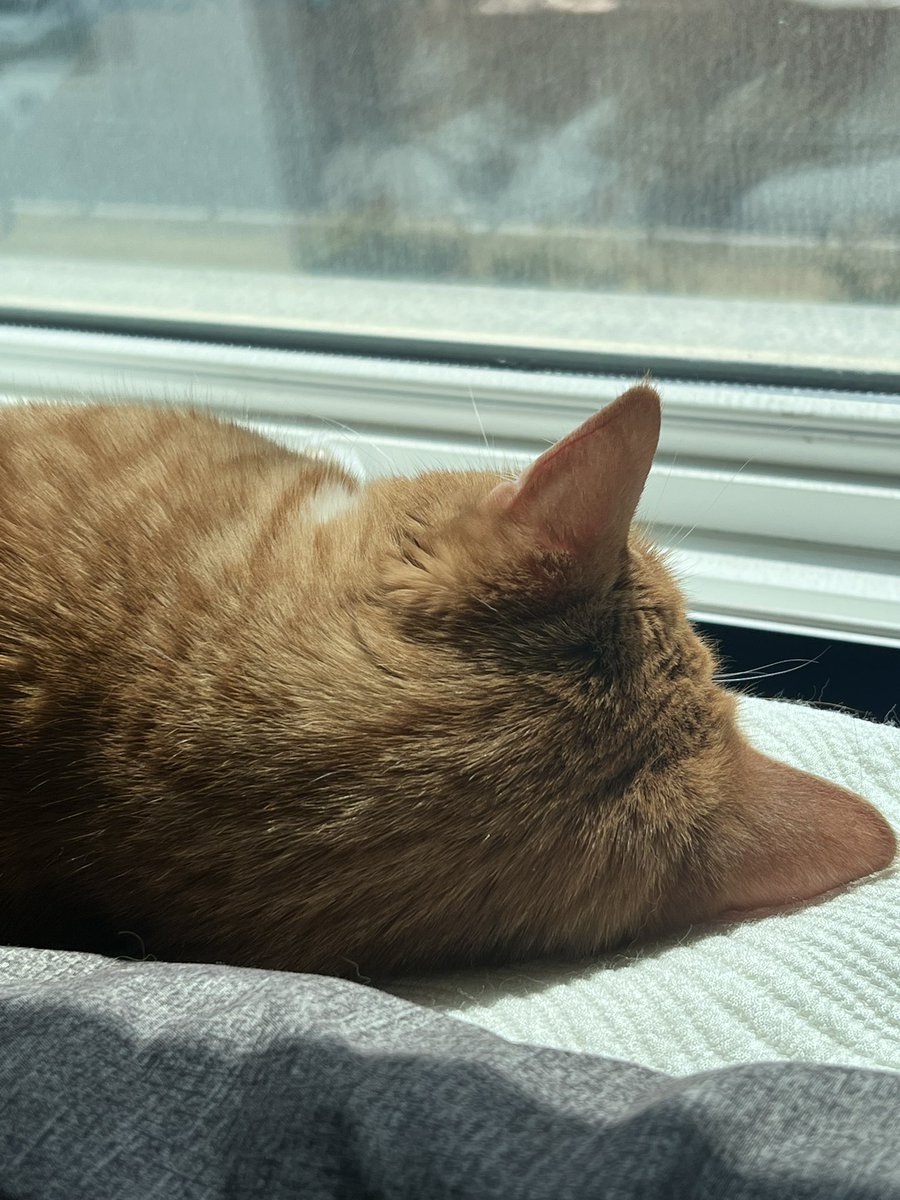 월요일 충전하기🪫