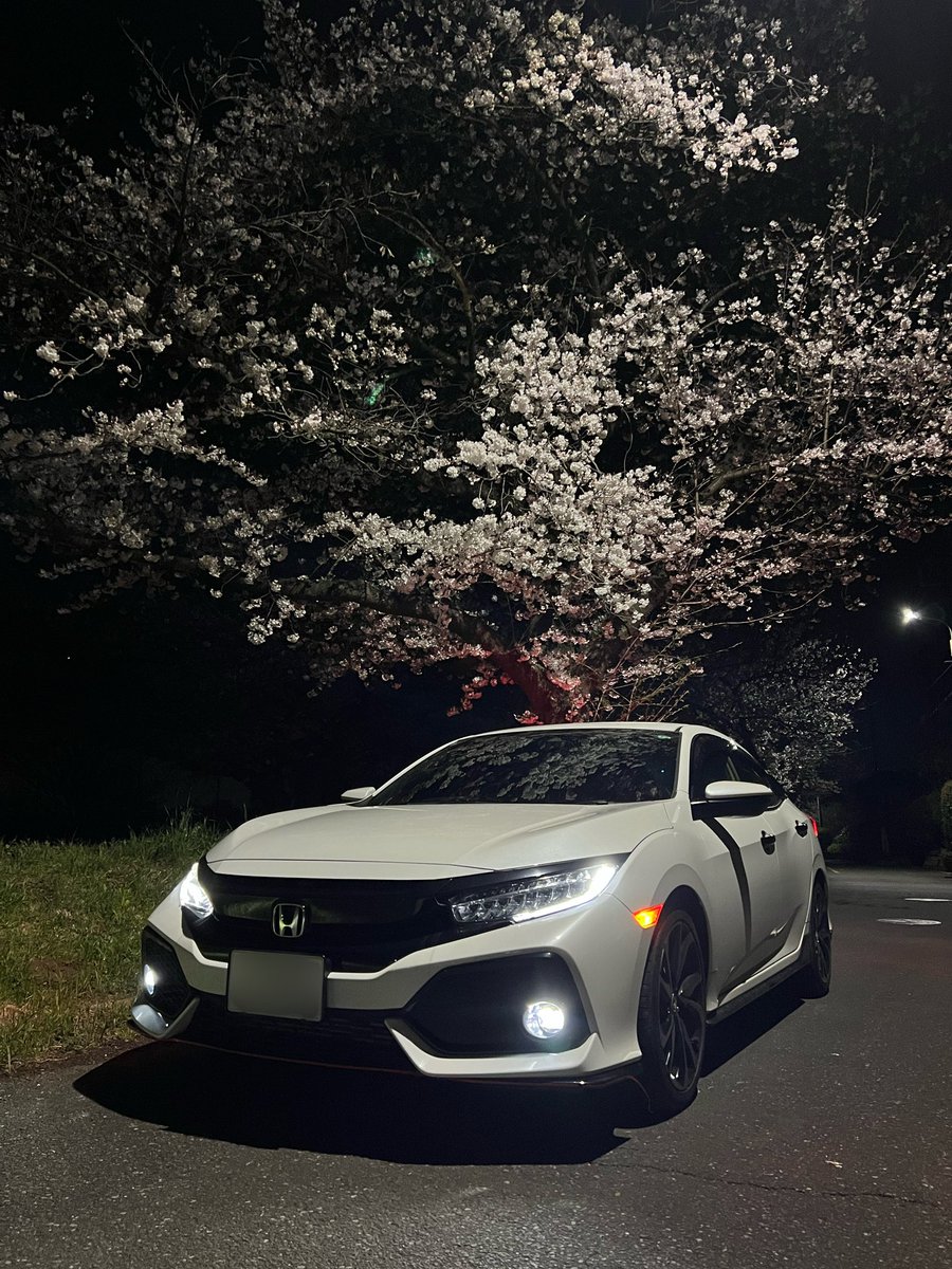 erk_fk7's tweet photo. 今年も桜と🌸 https://t.co/IoIpMYdTKH