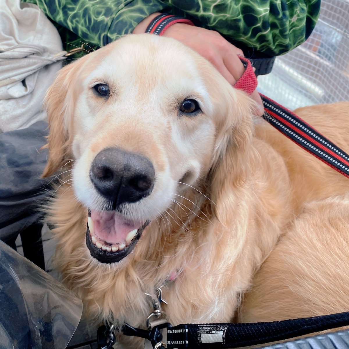 ⋆⸜ ʜᴀᴘᴘʏ ʙɪʀᴛʜᴅᴀʏ ⸝⋆

世界で1番大切で大好きなはぐみ♡♡
生まれてきてくれてありがとう
私たちの家族になってくれてありがとう
誰よりも愛しています⟡.·*.

ずっと笑っていてね