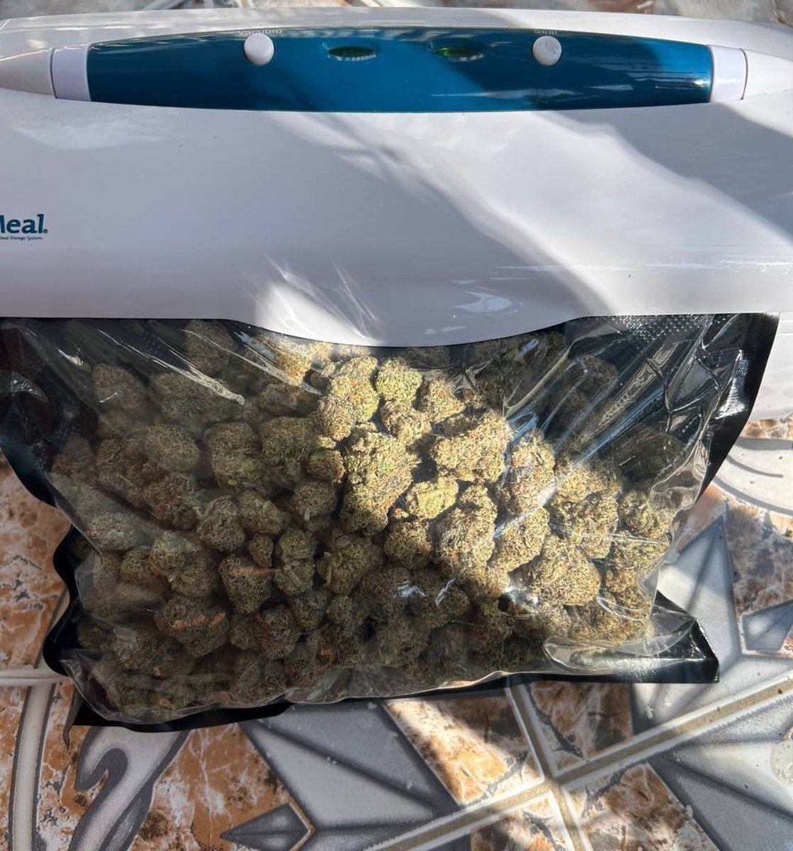 Can you guess the weight? 👀🤔