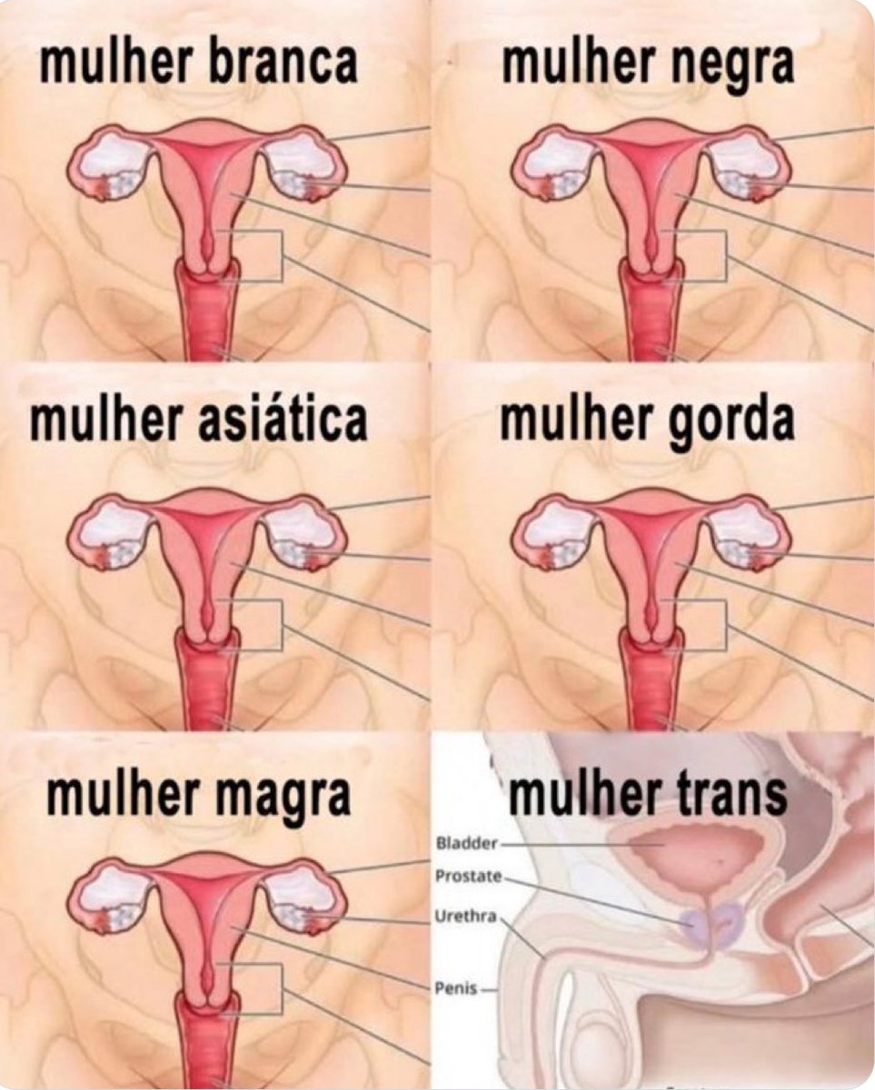 FerSouto83's tweet photo. @gorgonoid_ Parabéns as atletas (mulheres). https://t.co/4bIlXCkH9U
