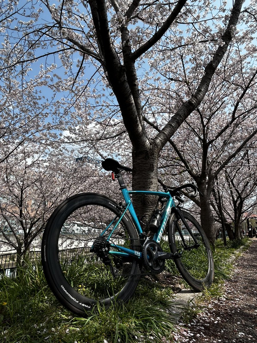 yuma__reacto's tweet image. 丁度いい気温