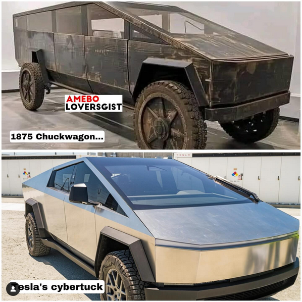 CXXXVII ∞ 🇺🇦 ∞ #𝙉𝘼𝙁𝙊𝙛𝙚𝙡𝙡𝙖 ₁₃₇ (@pauldereume) on Twitter photo 