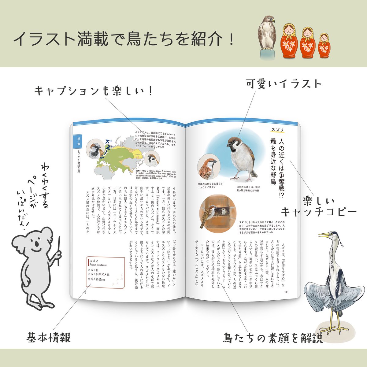 小鳥出品 ◾️book◾️SB Creativeより【身近な「鳥 」の素顔名鑑】が発売され