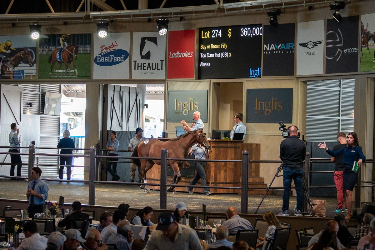 Sledmere Stud (@sledmerestud) on Twitter photo Lot 274 of the <a href="/SledmereStud/">Sledmere Stud</a> <a href="/inglis_sales/">Inglis</a> Easter draft was sold to <a href="/johnnymckeever1/">Johnny McKeever</a> & GR1 winning trainer Dominic Sutton for $360K. The filly is a daughter of boom sire Too Darn Hot (GB) … a stallion that has already had a star runner for the popular British bloodstock agent! Lot 274 of the <a href="/SledmereStud/">Sledmere Stud</a> <a href="/inglis_sales/">Inglis</a> Easter draft was sold to <a href="/johnnymckeever1/">Johnny McKeever</a> & GR1 winning trainer Dominic Sutton for $360K. The filly is a daughter of boom sire Too Darn Hot (GB) … a stallion that has already had a star runner for the popular British bloodstock agent!