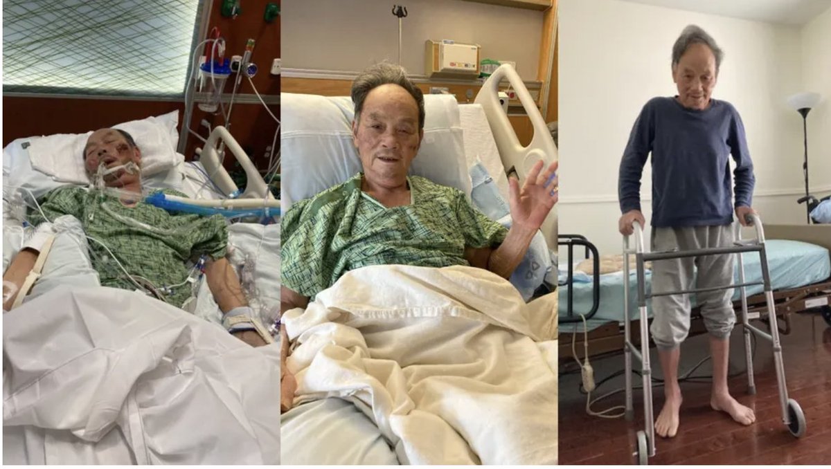 Irene BritUSA tweet media