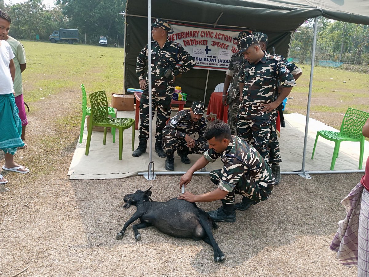 54bnssbI's tweet photo. दिनांक 05/04/2025 को 54वीं वाहिनी, सशस्त्र सीमा बल (SSB), बिजनी के सीमा चौकी मानस/बाँसबारी के कार्यक्षेत्र बरंगाबारी गाँव(Vibrant Village) में नागरिक कल्याण कार्यक्रम (CAP) के अंतर्गत निशुल्क पशु चिकित्सा शिविर (VCA) का आयोजन किया गया |
#SSB #capf https://t.co/YSywAbLbPs