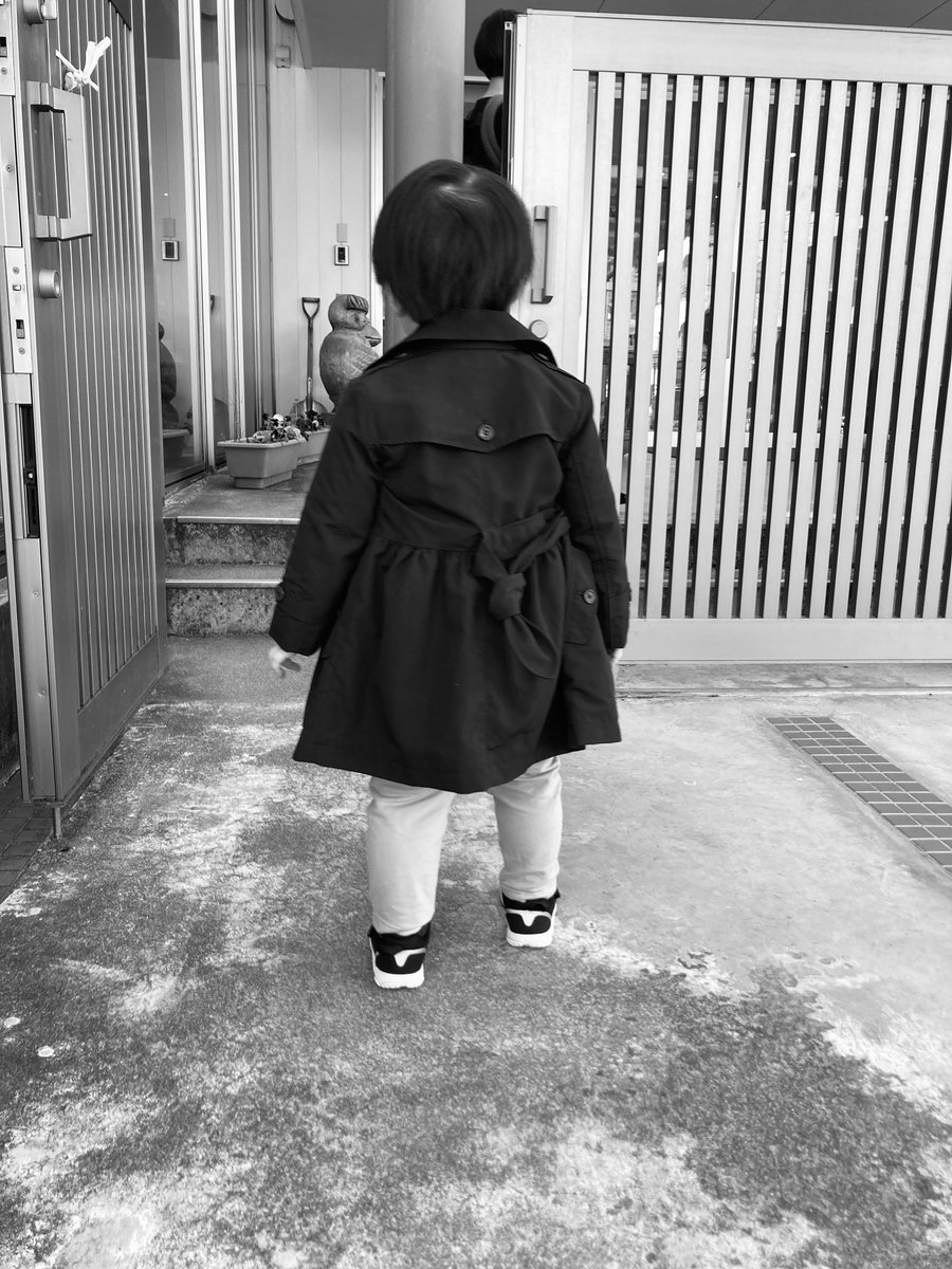 shirokuma_type7's tweet photo. 初日 https://t.co/w8iUUr4Si8