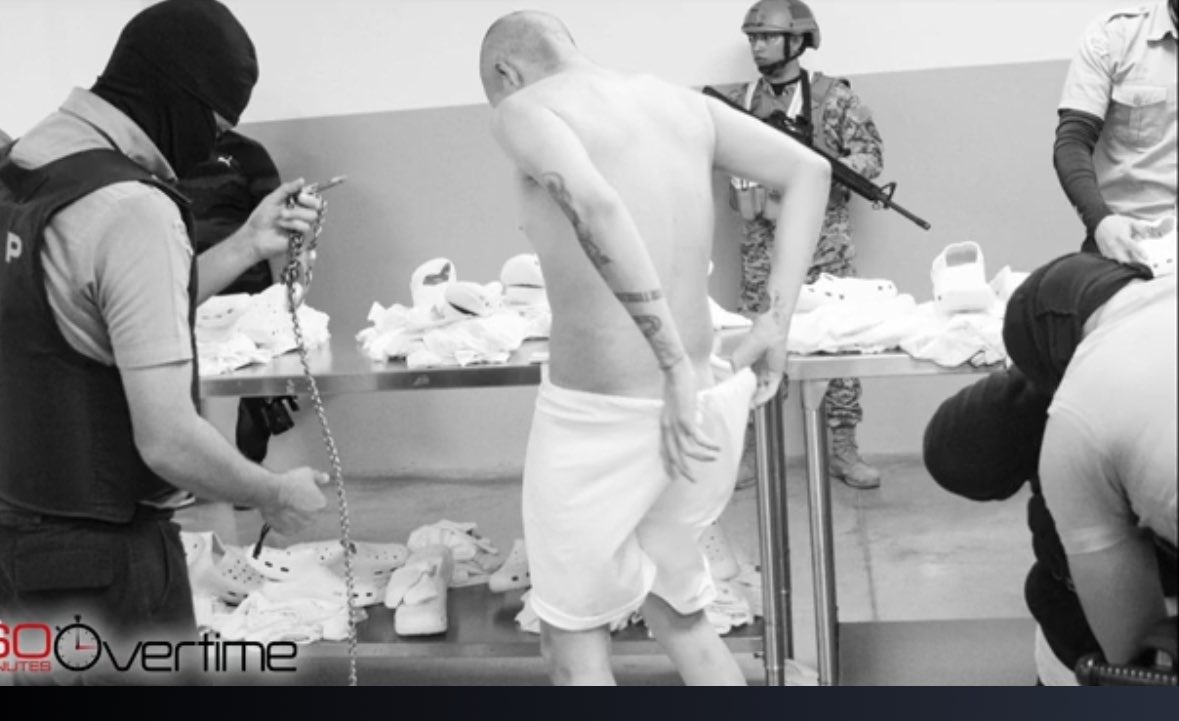 Lindsay Toczylowski tweet media