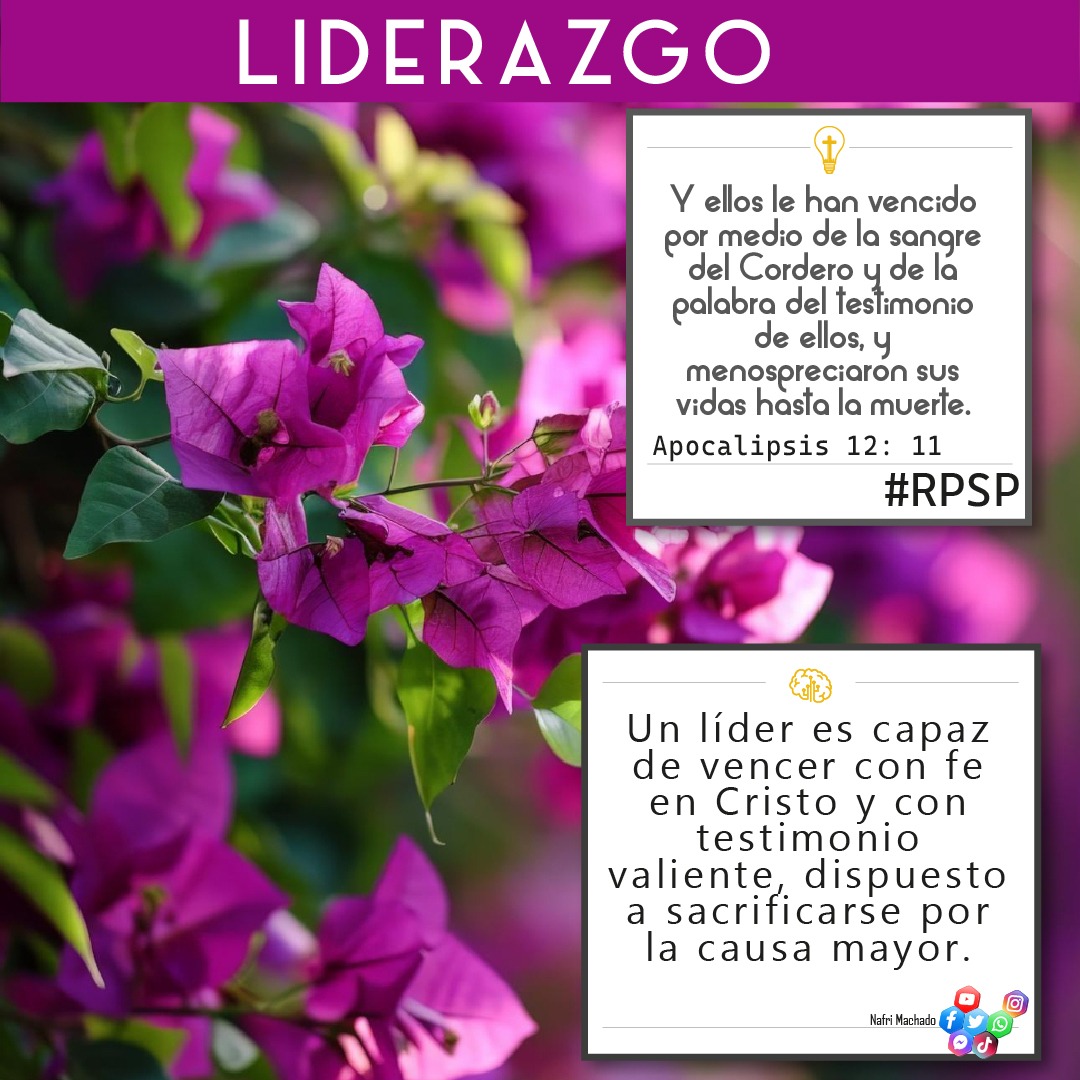 Apocalipsis 12: 11 Y ellos le han vencido por medio de la sangre del Cordero y de la palabra del testimonio de ellos, y menospreciaron sus vidas hasta la muerte.
🤔Un líder es capaz de vencer con fe en Cristo y con testimonio valiente, dispuesto a sacrificarse por la causa mayor.