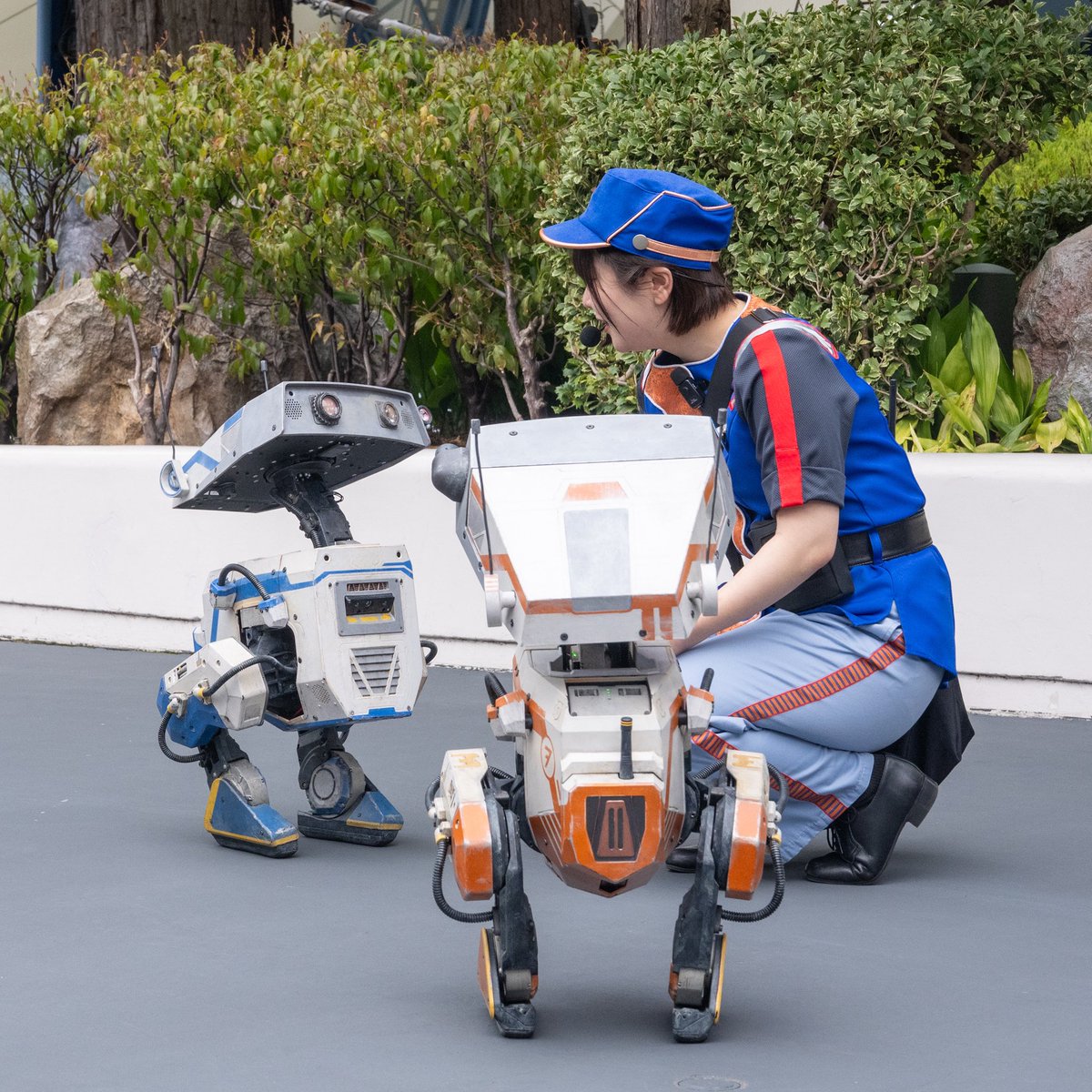 スター・ツアーズ社のBDXドロイドに会える！ 東京ディズニーランド