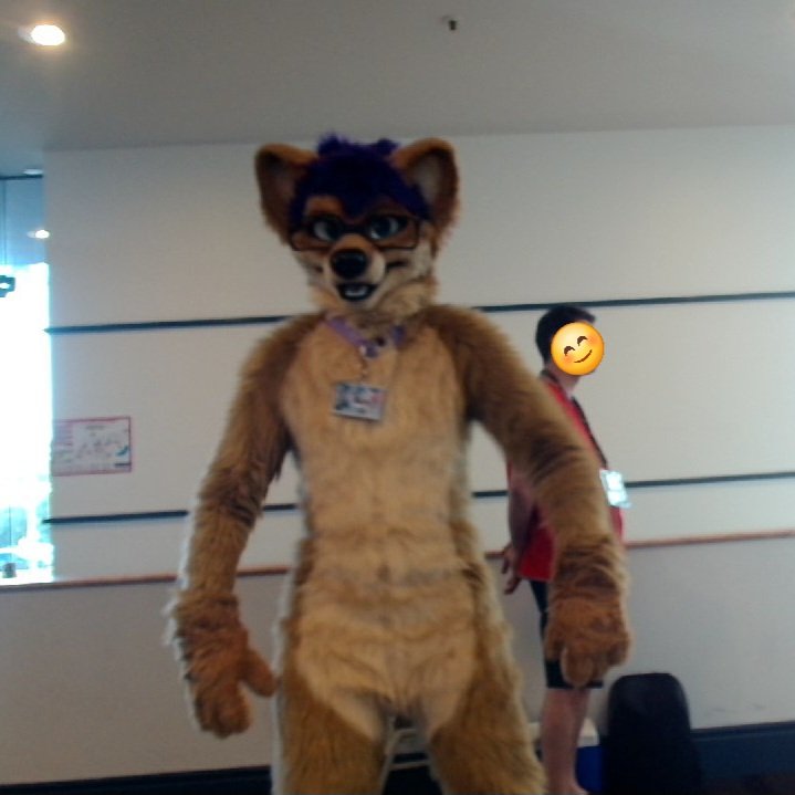 Kal Dingo (@kalthedingo) on Twitter photo Sup? Sup?