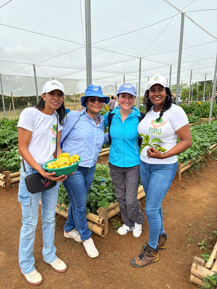 JimenaPuyana's tweet image. En zona rural de Ayapel nos reunimos con los liderazgos comunitarios e institucionales de la red de restauración de La Mojana conformada por + de 80 organizaciones que despliegan capacidades en 330 comunidades.Afianzamos nuestra alianza, pensamos en el
futuro y compartimos ideas