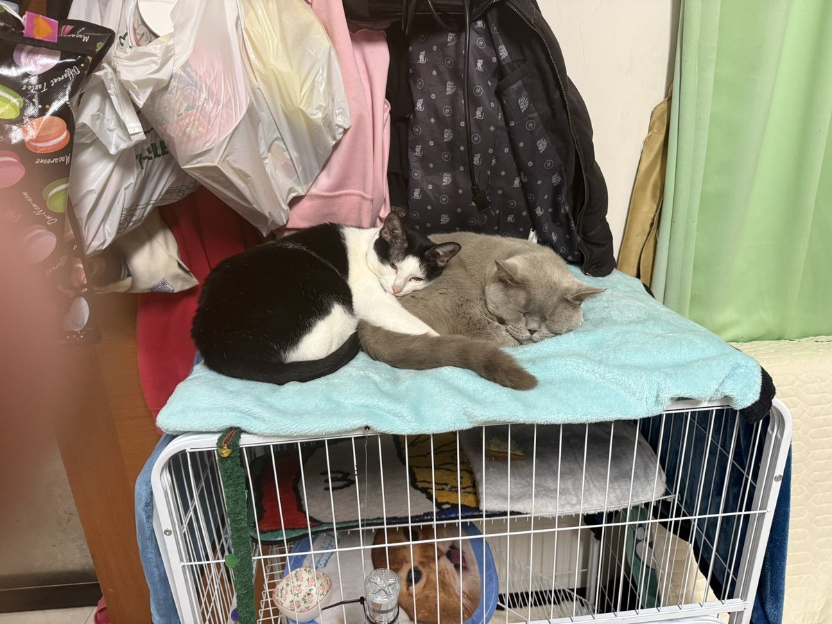 感情好 好