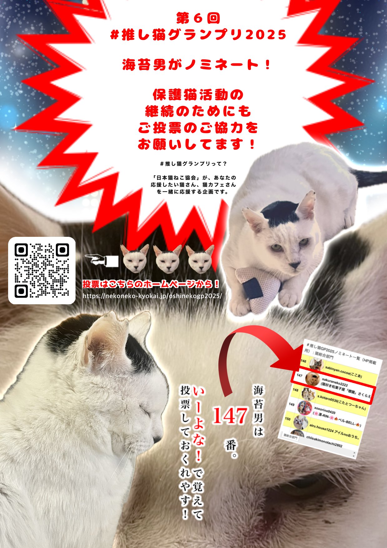 さくら のせ猫 2025 250423 - YouTube