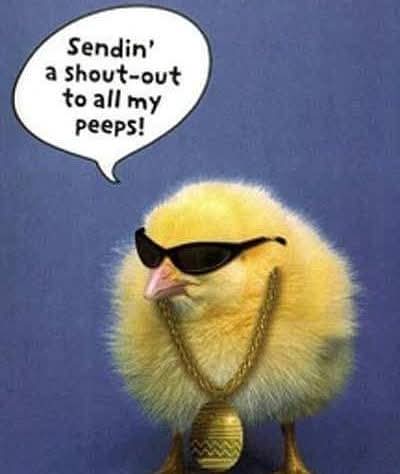 william sewell tweet media