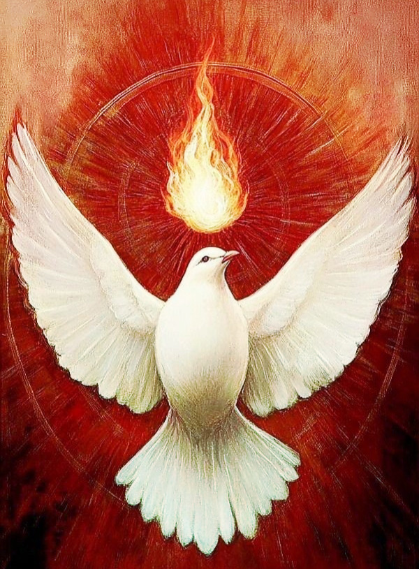 bigmadredhatter's tweet photo. 🕊️ What the Holy Spirit does for us 🕊️

Convicts us (John 16:8)
Empowers us (Acts 1:8)
Comforts Us (Acts 9:31)
Sets us free (Romans 8:2)
Energizes our bodies (Romans 8:11)
Leads us (Romans 8:14)
Helps Us (Romans 8:26)
Transforms us (2 Corinthians 3:16)
Enables us to wait (Galatians 5:5)
Enables us (Ephesians 4:3-4)
Gives us joy (1 Thessalonians 5:16)
Obey the truth (1 Peter 1:22)
Teaches us to pray (Jude 1:20)