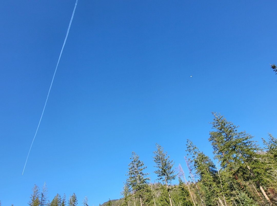 RxGF's tweet image. Virginia Airlines poisoning Americans with #CHEMTRAILS 

Flight  VS20  SFO &amp;gt; LHR