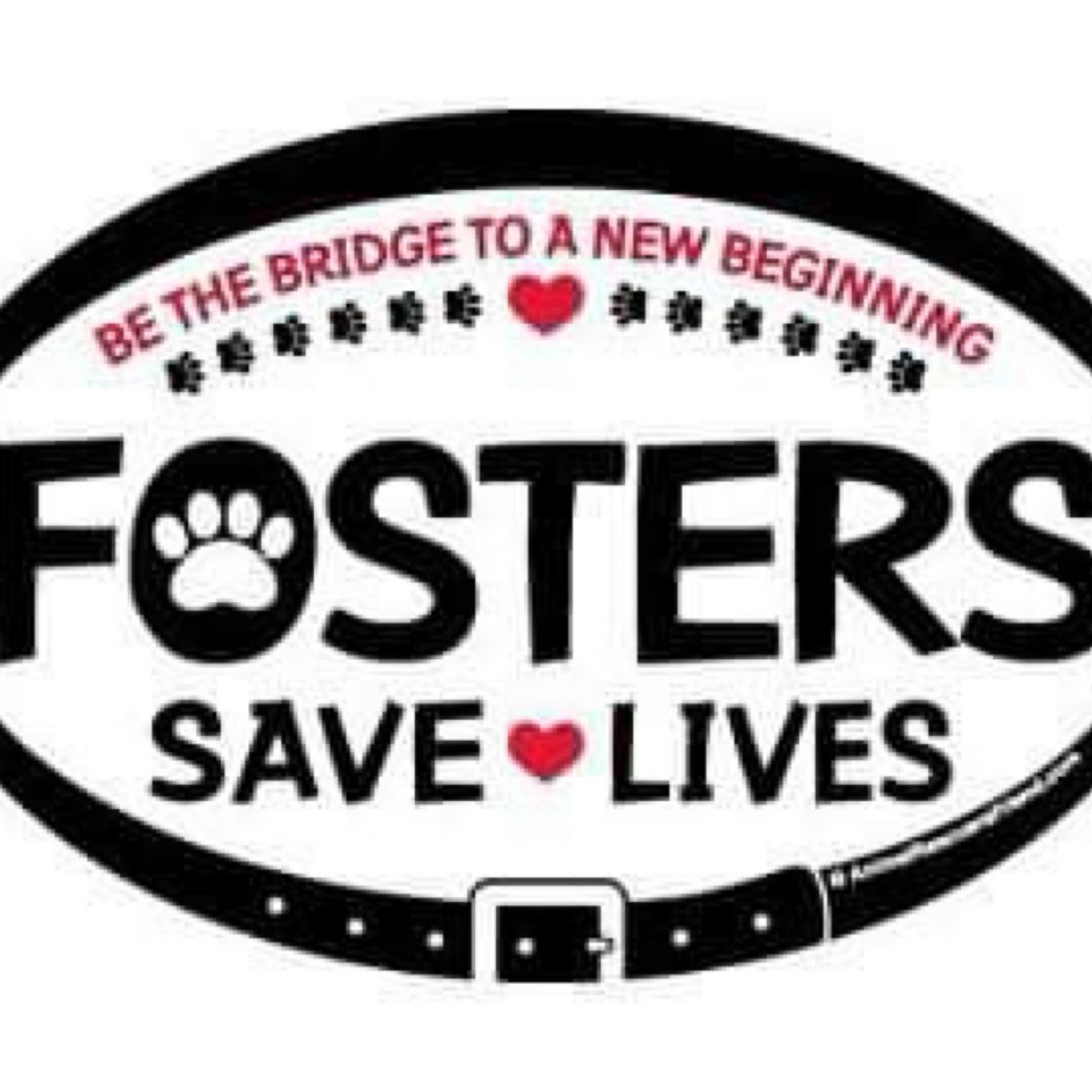 We are DESPERATE! We need foster homes who drive &amp; will be available for vet appointments &amp; adoption events. We provide support &amp; all supplies. Please visit:
littlecatslosttnr.org &amp; send in an application if you can help. 

#yeg #edmonton #sherwoodpark #yegcats #cat #kitten