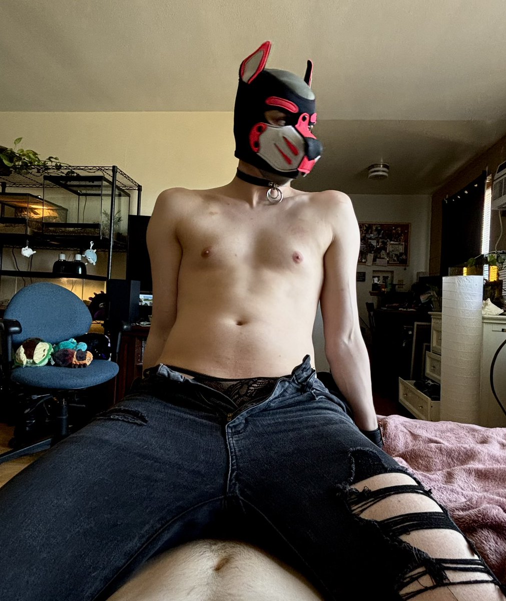 Friendly reminder that “sit pretty” is my specialty 😇