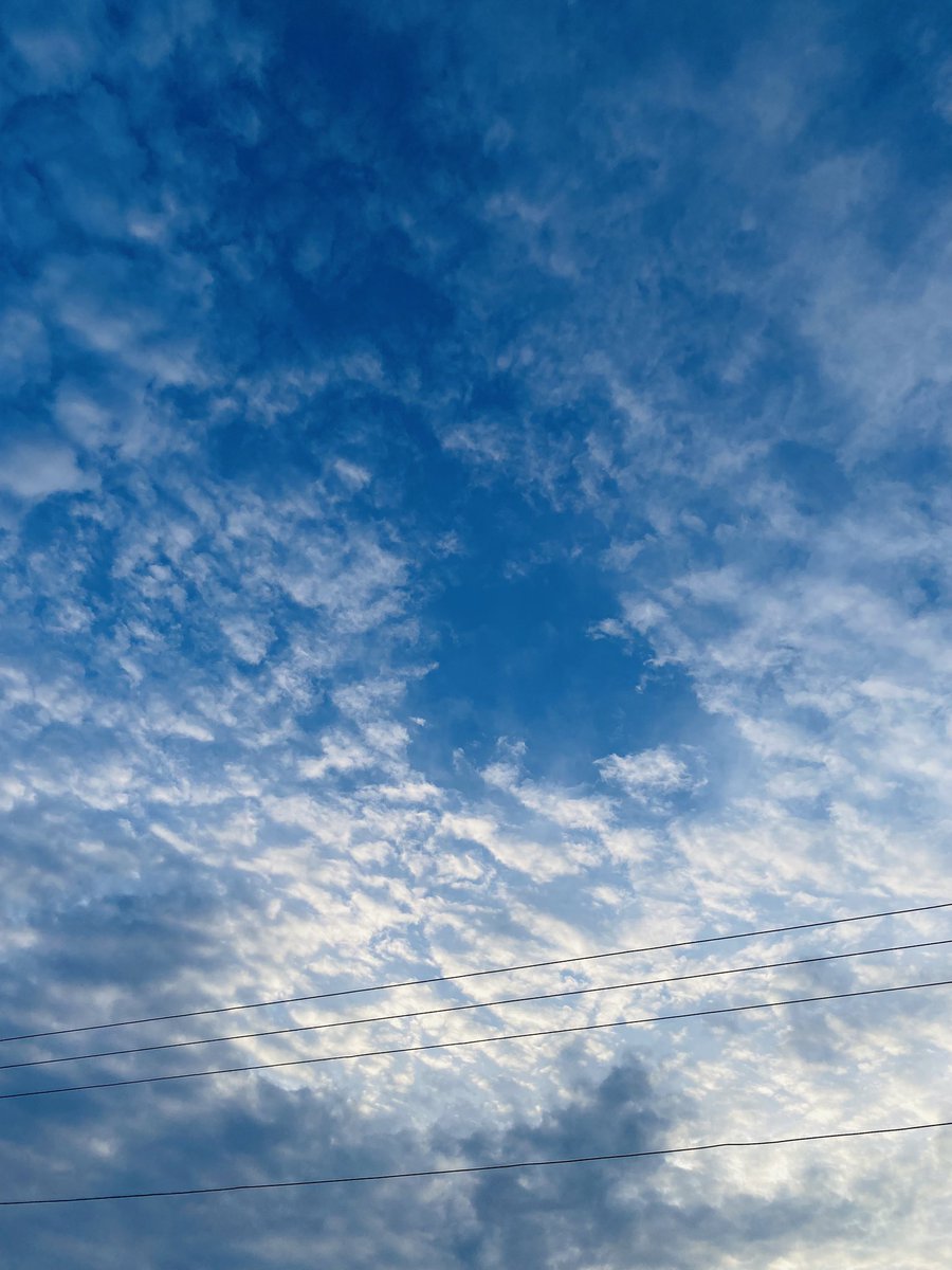 imthi0987's tweet image. GM have a Great Day Guyz !