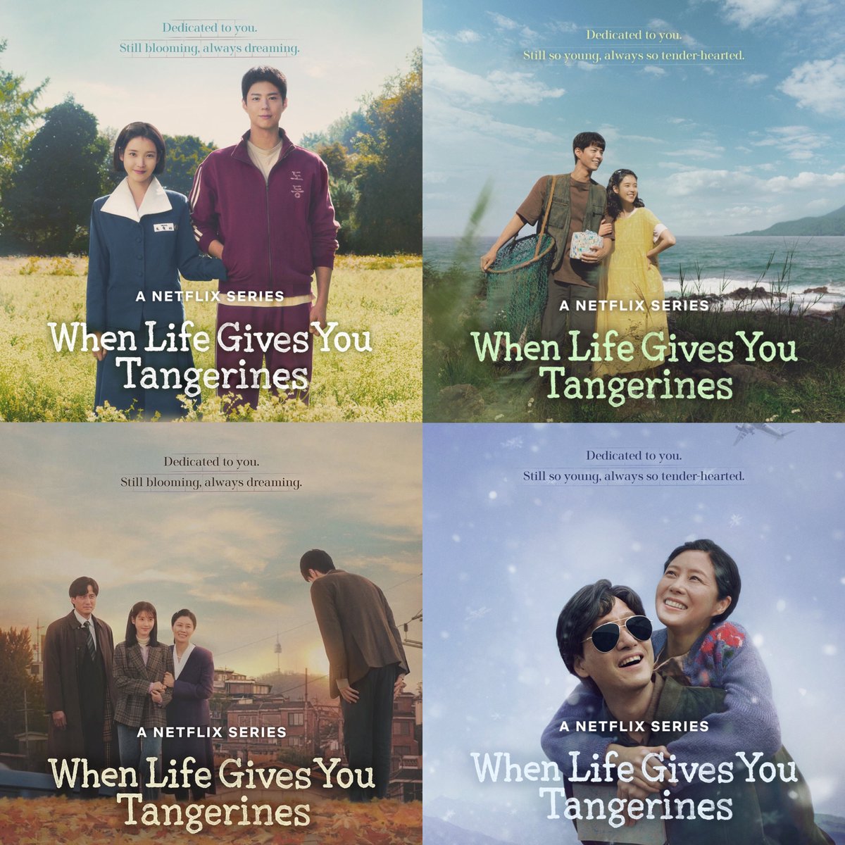 When Life Gives You Tangerines nominations for 61st Baeksang Arts Awards:

Best Picture (Drama)
Best Director
Best Screenplay
Best Actor - Park Bogum
Best Actress - IU
Best Supporting Actor - Choi Dae hoon
Best Supporting Actress - Yeom Hye-ran
Best New Actress - Kim Taeyeon