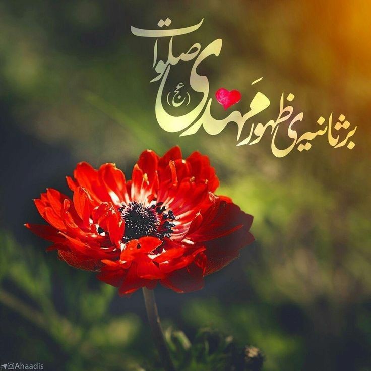 ولیّ خیرخواه من...
سلاااااام....

 صبحم را با نام و یاد شما آغاز میکنم...🌹❤

#اللهم_عجل_لولیک_الفرج 
#اللهم_صل_علی_محمد_و_آل_محمد_وعجل_فرجهم