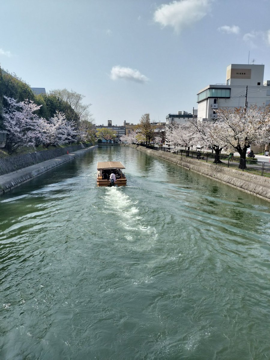 dayrton01's tweet photo. #京都
 #木屋町
  #疎水
 #界隈 https://t.co/vyFqkcJPel