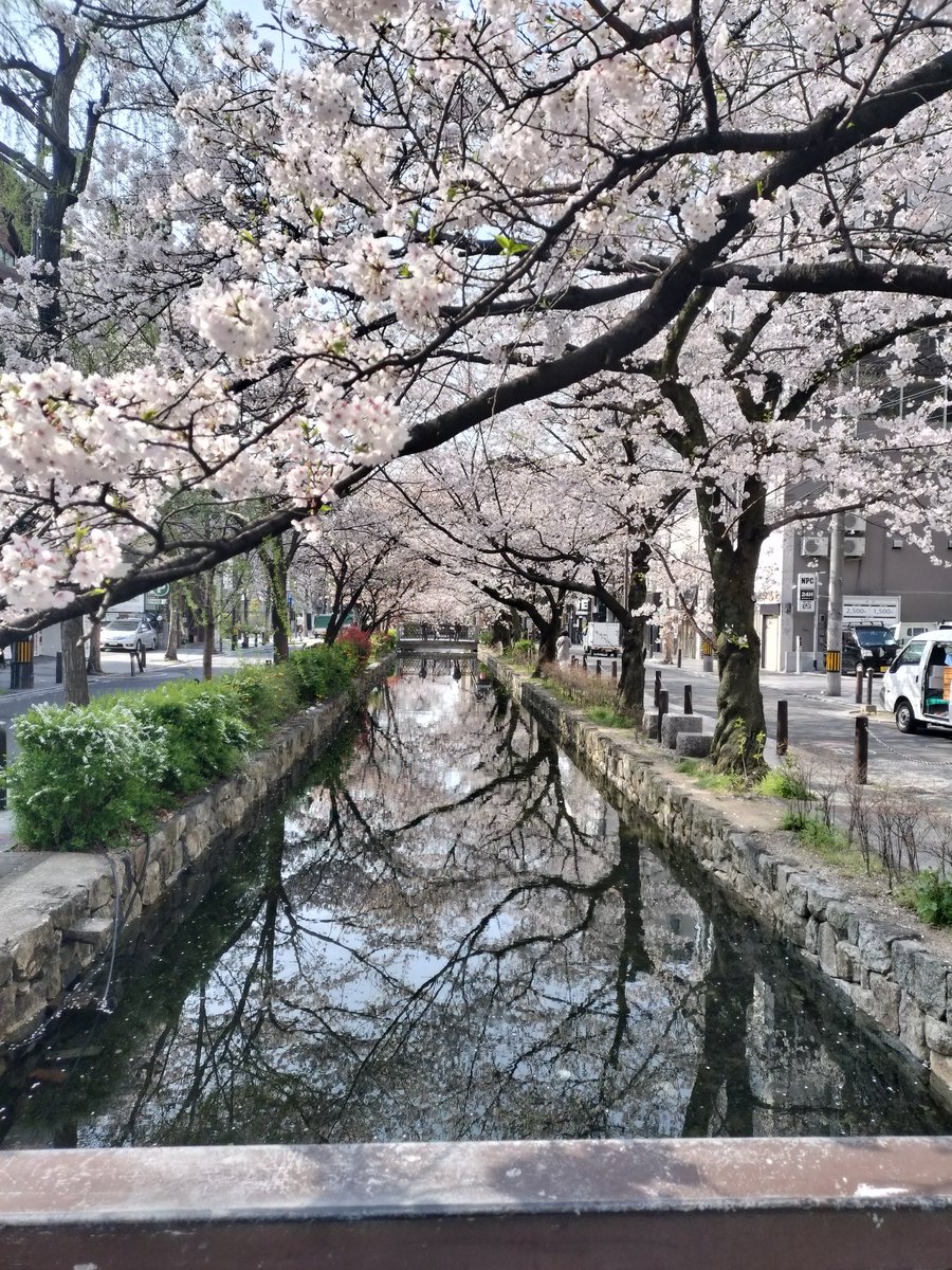 dayrton01's tweet photo. #京都
 #木屋町
  #疎水
 #界隈 https://t.co/vyFqkcJPel