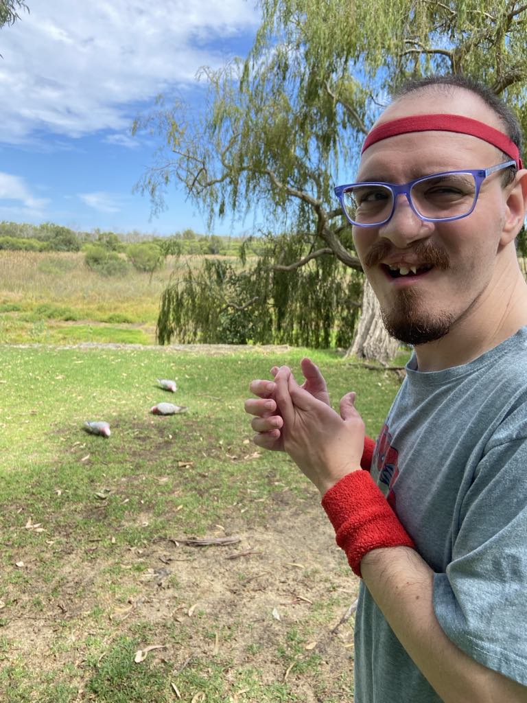 i saw koalas at yanchep #TypedByJosh
