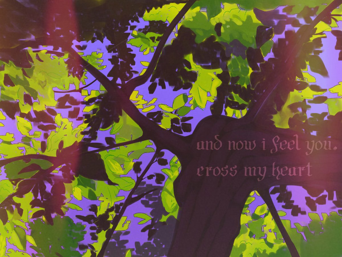 plum tweet media