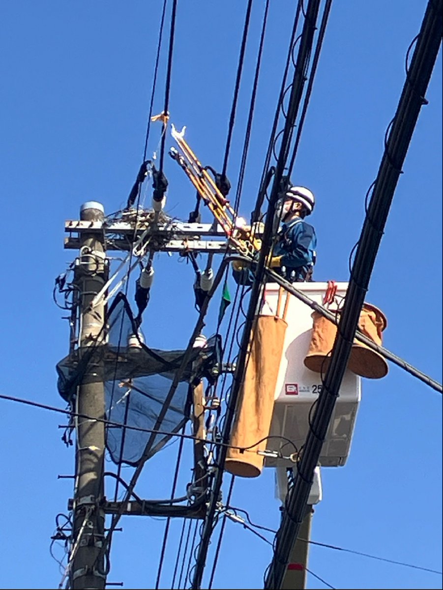 カラスの営巣除去作業の様子をご紹介！】 東京電力パワーグリッドでは、カラスの営巣による停電事故を防ぐため、巣の撤去や残置等の対応を行っています。電柱に作られた巣は、緊急性がある場合には高所作業車や専用の工具を使って撤去します。（作業時は停電をせずに行い  ...