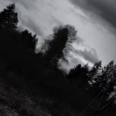 kittyramirez's tweet image. Posting