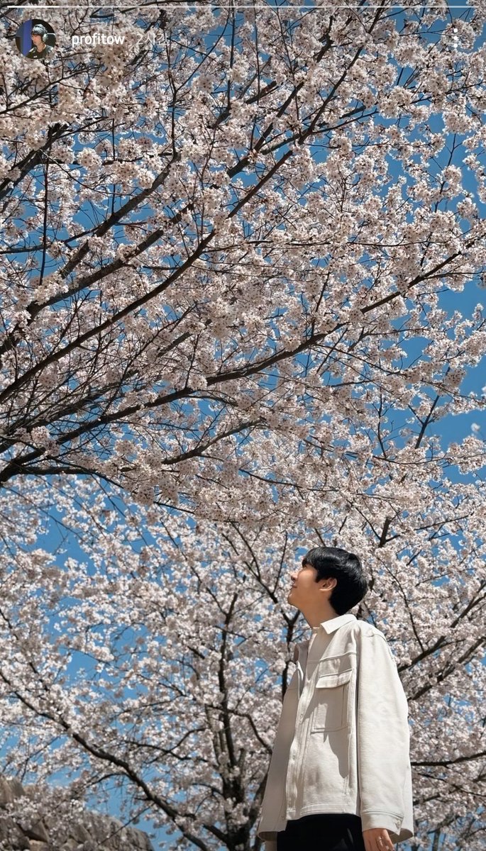 夏 tweet media