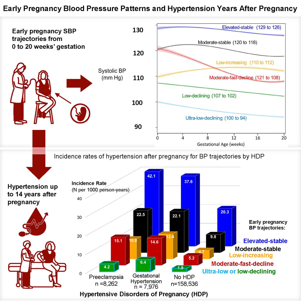 Erica P Gunderson @KPDOR @KPMedSchool (@ericapgun) on Twitter photo Story: bit.ly/43CcLs3 Early pregnancy BP trajectories and risk of hypertension in women many years later whether or not they had a pregnancy hypertensive disorder. #cardio Twitter #ASCVD #pregnancy # women <a href="/ericapgun/">Erica P Gunderson, PhD, MPH</a> <a href="/KPDOR/">Kaiser Permanente Research NorCal</a> <a href="/KPMedSchool/">Kaiser Permanente Bernard J. Tyson School of Med</a> Story: bit.ly/43CcLs3 Early pregnancy BP trajectories and risk of hypertension in women many years later whether or not they had a pregnancy hypertensive disorder. #cardio Twitter #ASCVD #pregnancy # women <a href="/ericapgun/">Erica P Gunderson, PhD, MPH</a> <a href="/KPDOR/">Kaiser Permanente Research NorCal</a> <a href="/KPMedSchool/">Kaiser Permanente Bernard J. Tyson School of Med</a> 