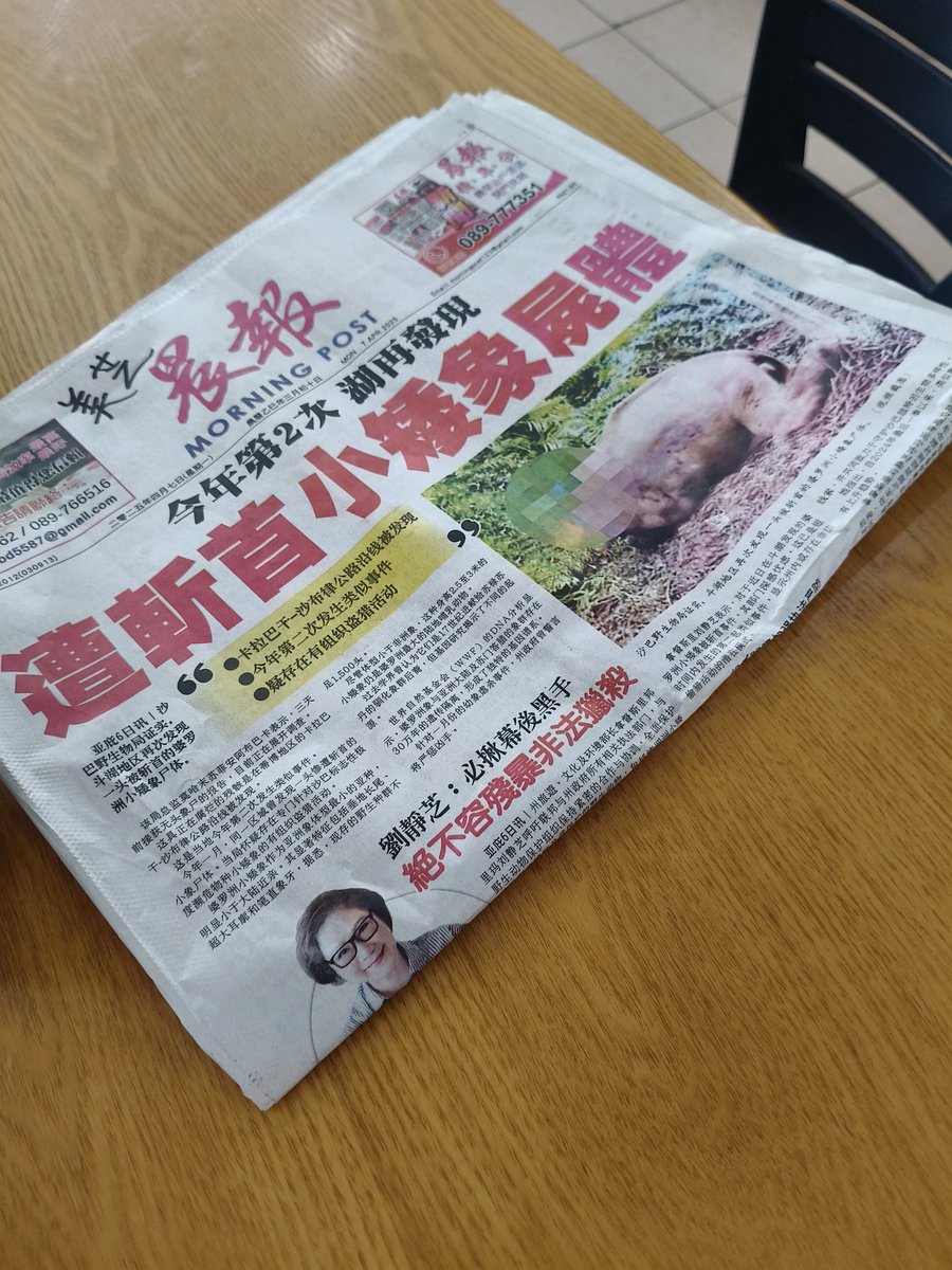 eifieland's tweet photo. Elephants have been roaming in Sabah for more than 3 years. Farm Houses have been destroyed, and walked on the road. No news from Government, still haven't solve the problem. "Animal Protects"? You try to stand in front of one and tell me who needs protection. Hypocrites. https://t.co/xzhP7wVGAW