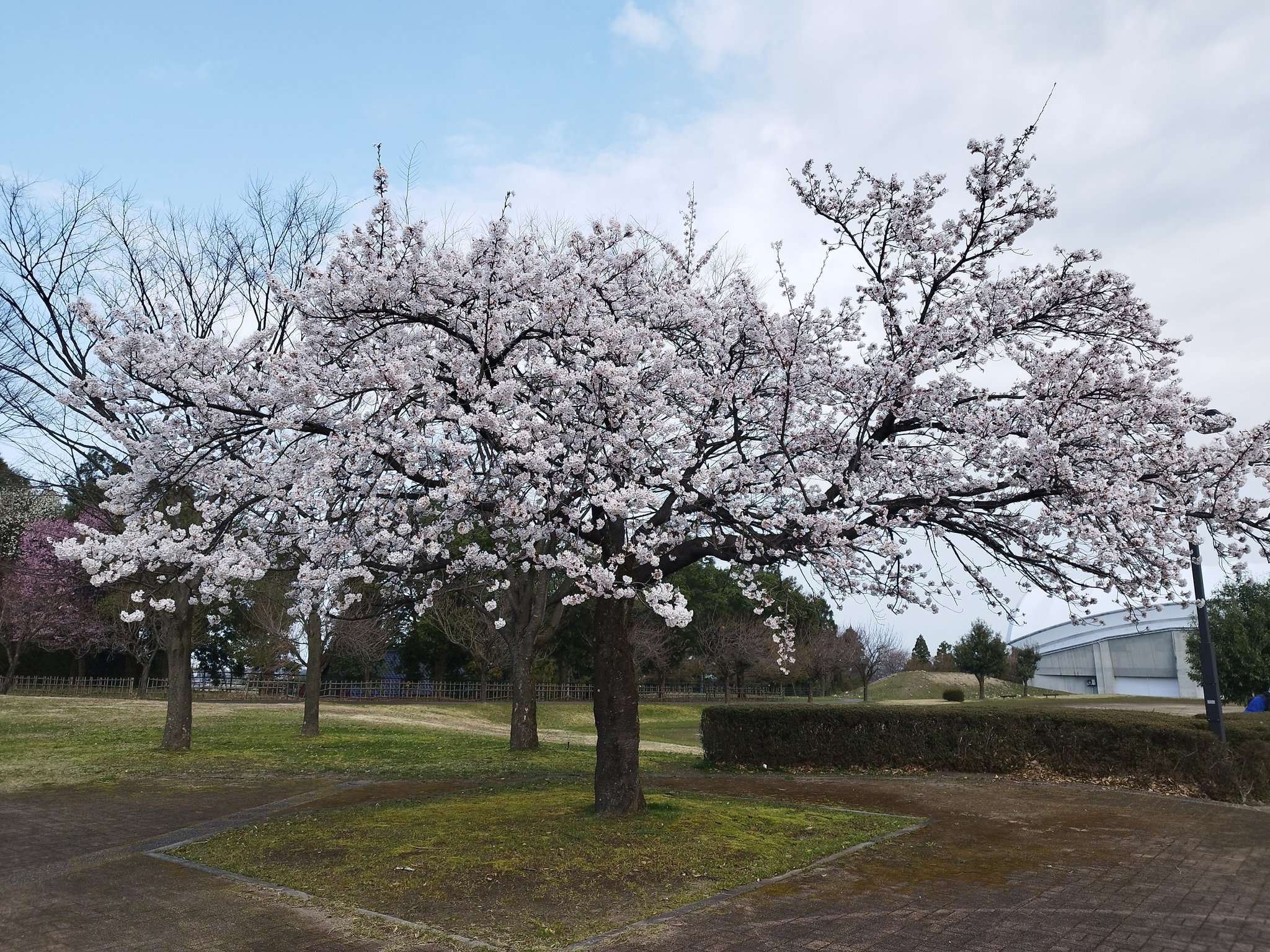 立山町総合公園 on X: 立山町総合公園 on X: