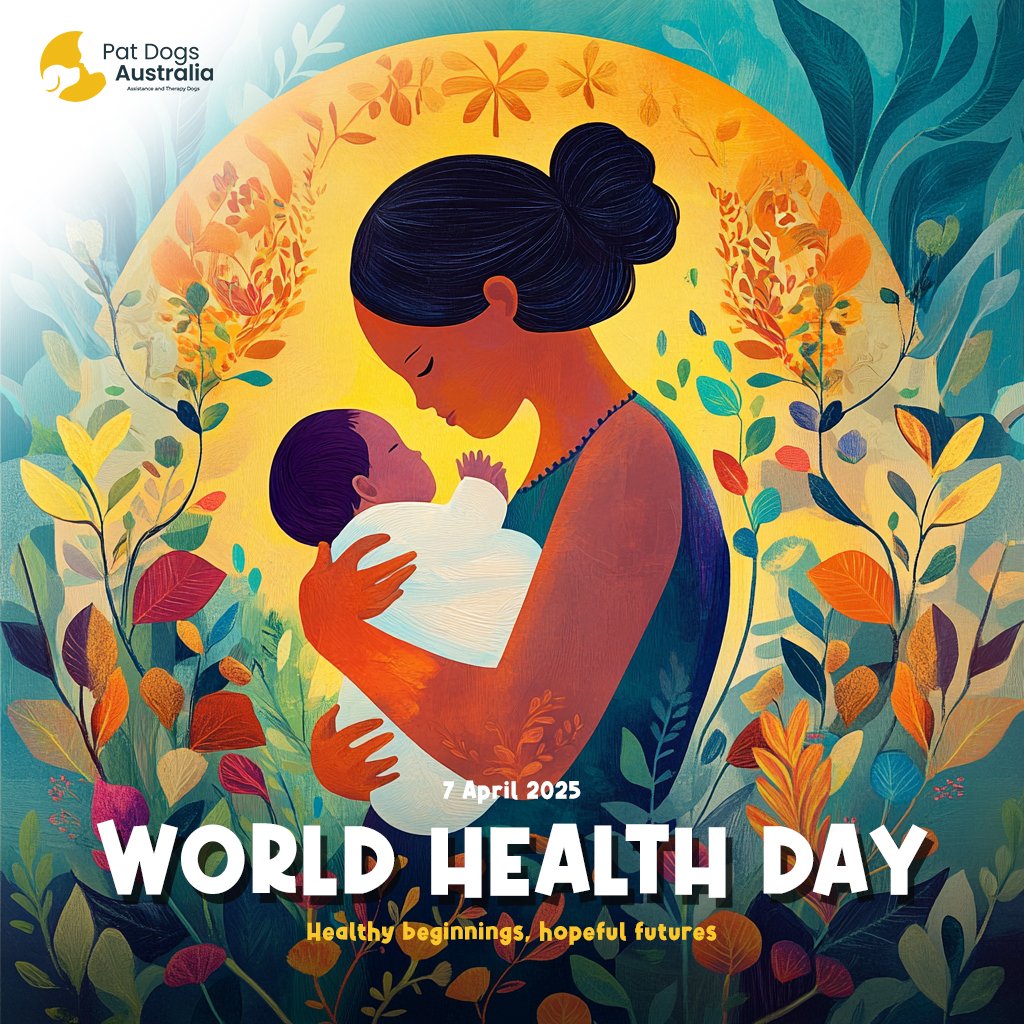 Pat Dogs Australia tweet media