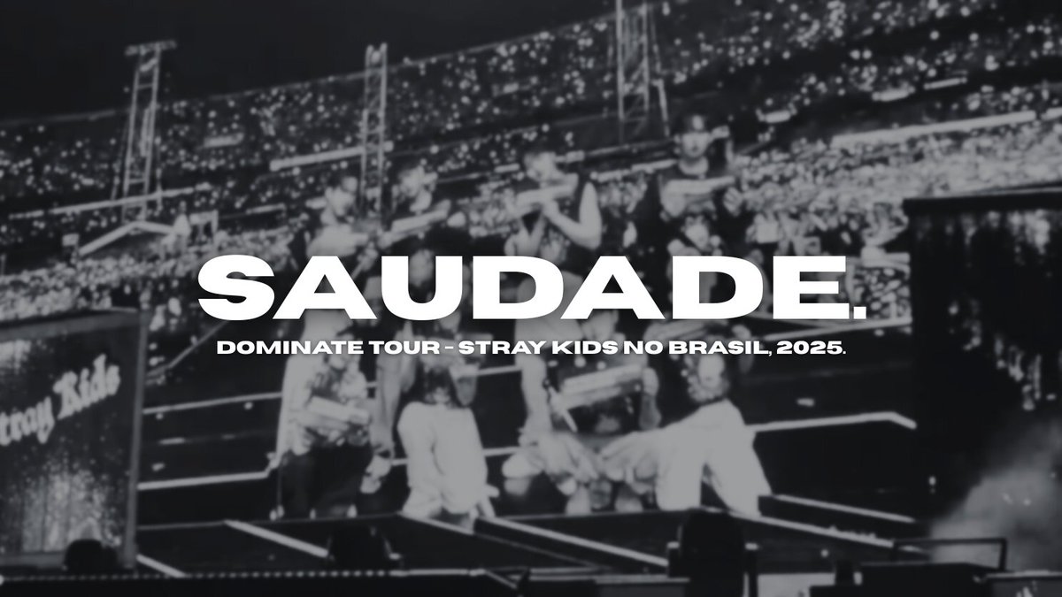 "a tristeza da ausência, mas a felicidade pela memória do que vivemos juntos." OBRIGADA STRAY KIDS.