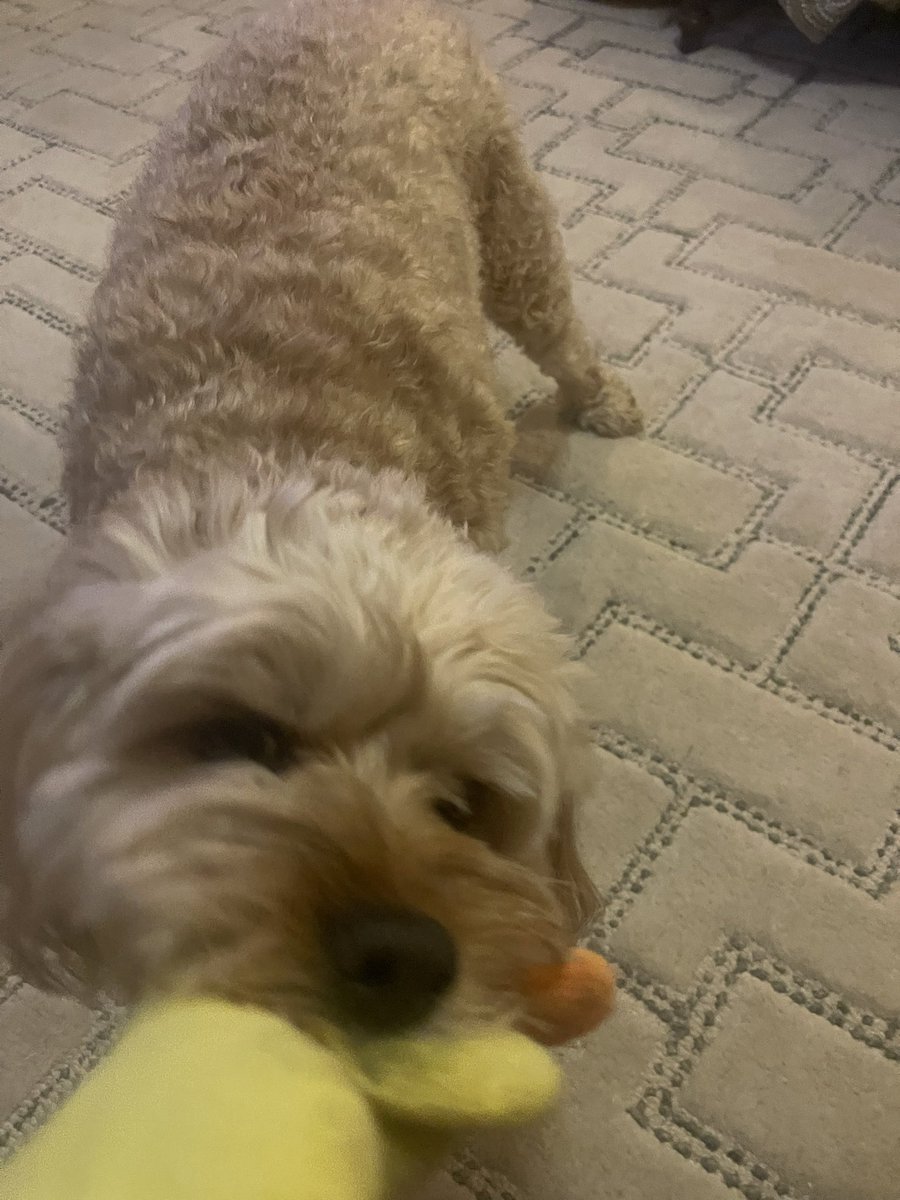 who does this guy think she is.