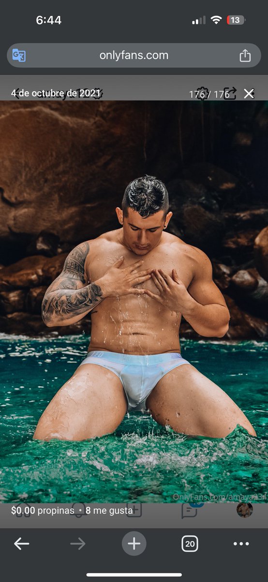 Leonardo amaya tweet media