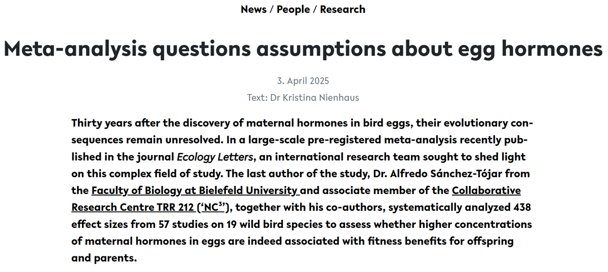 Big thanks to Kristina Nienhaus &amp; <a href="/unibielefeld/">Bielefeld University</a> for a great interview about our recent #MetaAnalysis on egg hormones and fitness, published in <a href="/Ecology_Letters/">Ecology Letters</a>!

Interview ➡️ shorturl.at/HZHJb

📰 Article ➡️ doi.org/10.1111/ele.70…

💻Data &amp; Code ➡️github.com/ASanchez-Tojar…