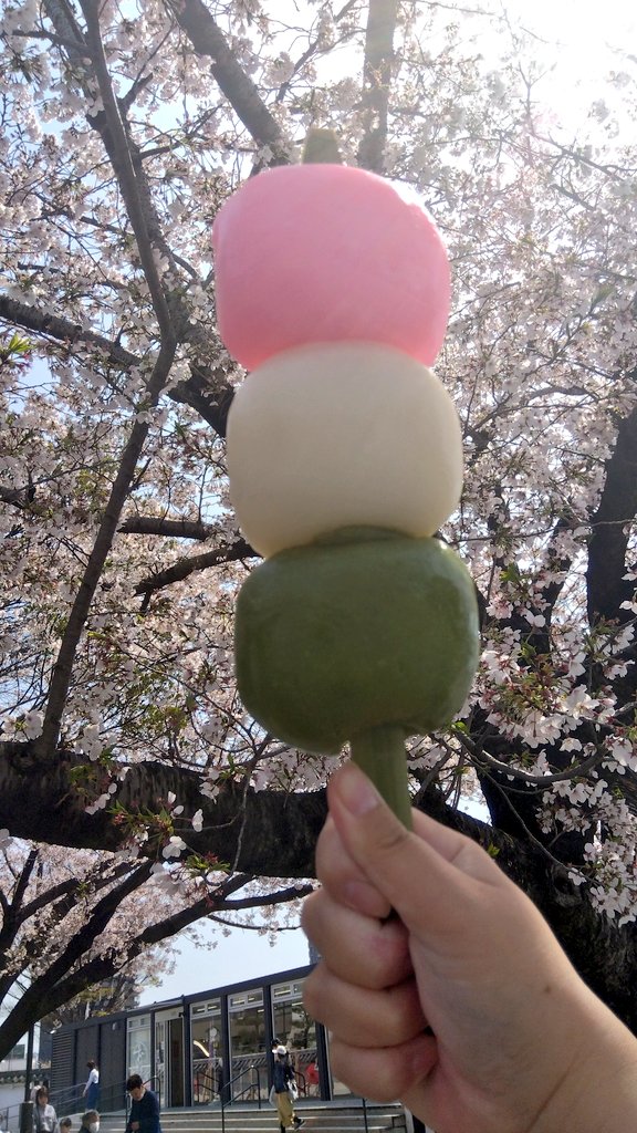 WT_nekoyanagi's tweet image. お花見日和ですね🍡